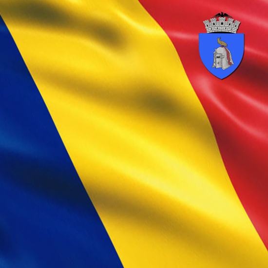 GALERIE VIDEO - PRIMĂRIA MUNICIPIULUI CÂMPULUNG - Conferință de presă - situația teilor de pe Bulevardul Pardon | 16.05.2023