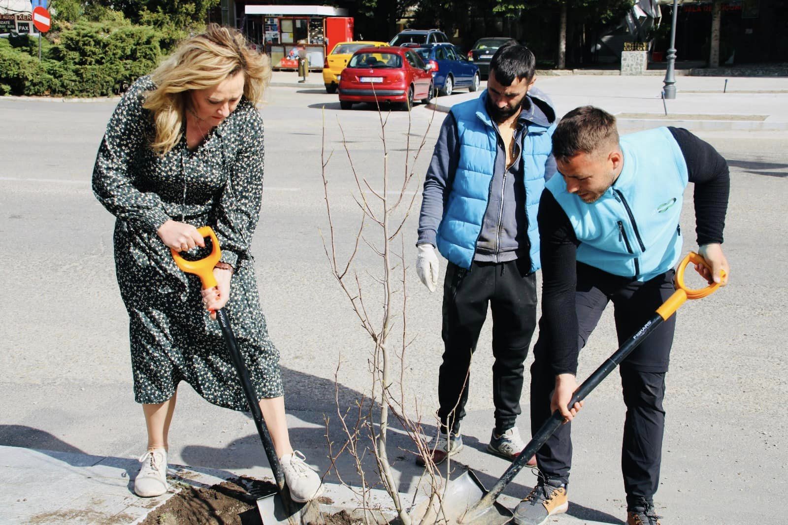 Campania de plantare și voluntariat "Plantăm oxigen pentru Câmpulung!"